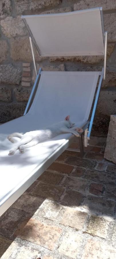 Azienda Agrituristica La Torretta Tocco da Casauria المظهر الخارجي الصورة