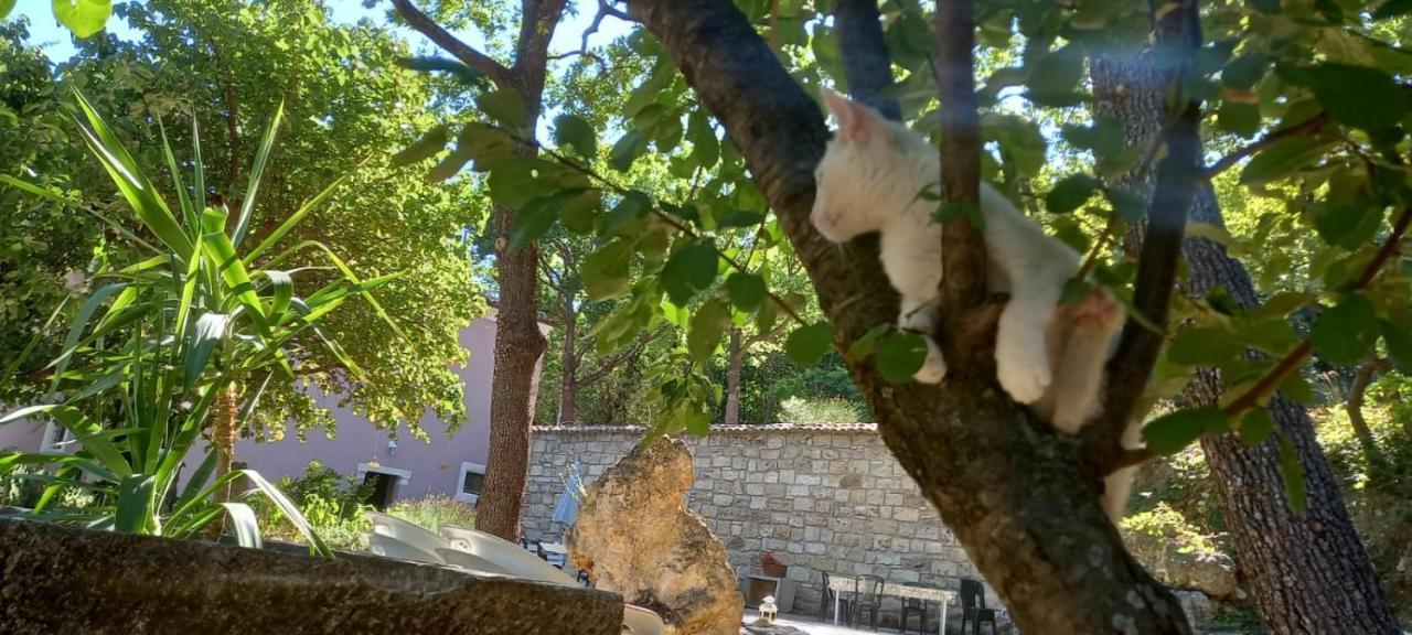 Azienda Agrituristica La Torretta Tocco da Casauria المظهر الخارجي الصورة