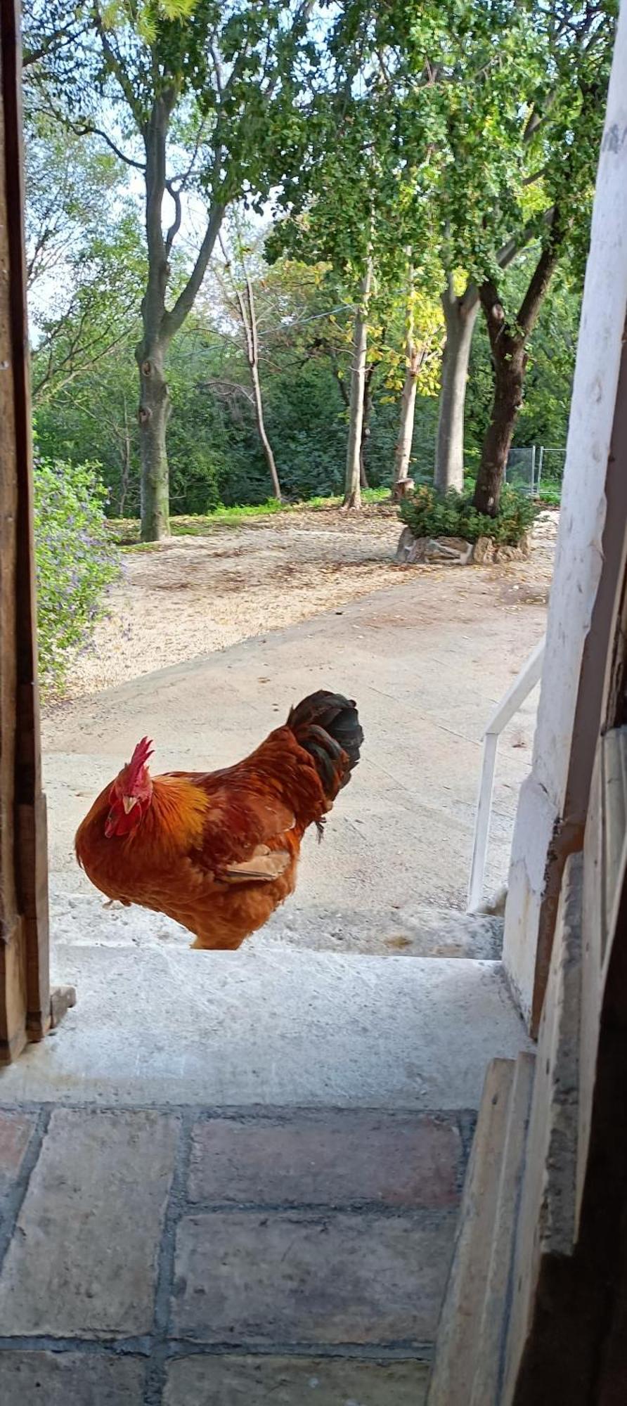 Azienda Agrituristica La Torretta Tocco da Casauria المظهر الخارجي الصورة